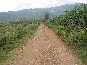 小雷缽寺村 小雷缽寺村
