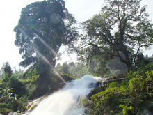 瓊中黎族苗族自治縣