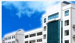 上海市滬閔中學 上海市滬閔中學