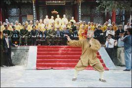 禪功柔拳 禪功柔拳