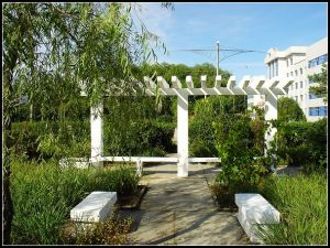 北京市平谷區門樓莊中學 北京市平谷區門樓莊中學