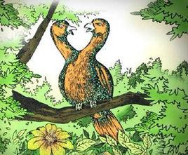 共命鳥[古代又叫鴟鴞]