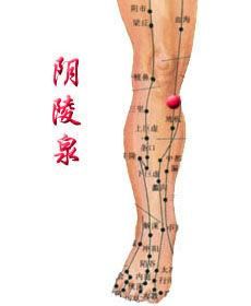 陰陵泉穴