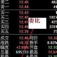 主力資金 主力資金