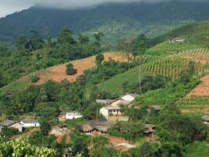 刀弄自然村 刀弄自然村