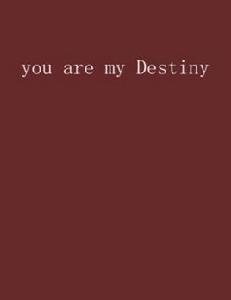 you are my Destiny you are my Destiny