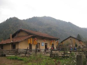 皇柏古道 皇柏古道