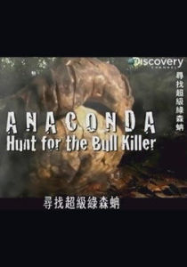 尋找超級綠森蚺 尋找超級綠森蚺