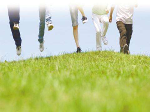 想靠代餐減肥的人 你堅持了多久?