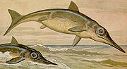 （圖）海因里希·哈爾德畫的魚龍