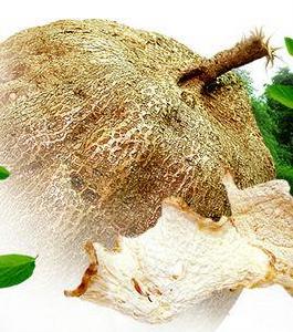 野葛根片 野葛根片