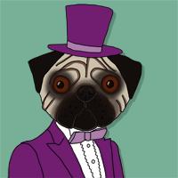 會說話的哈巴狗 會說話的哈巴狗