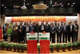 中國企業發展促進會