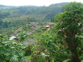 豆腐鋪自然村 豆腐鋪自然村