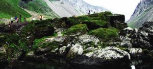 龍崗岩群 龍崗岩群