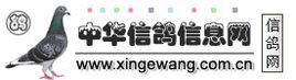 中華信鴿信息網 中華信鴿信息網