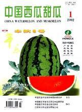 中國西瓜甜瓜 中國西瓜甜瓜