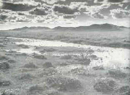 洛南之戰 洛南之戰