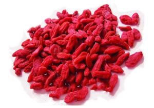 寧夏特產 寧夏特產