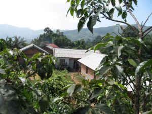 上井章村 上井章村