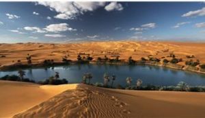 賈盧綠洲 賈盧綠洲