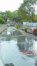 2013年8月15日雨後的荔枝灣