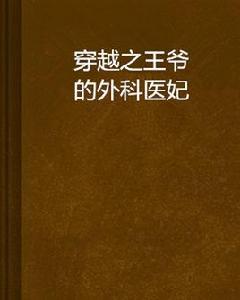 穿越之王爺的外科醫妃