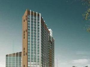 信達西山銀杏 信達西山銀杏