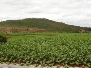 大鹿宜村 大鹿宜村