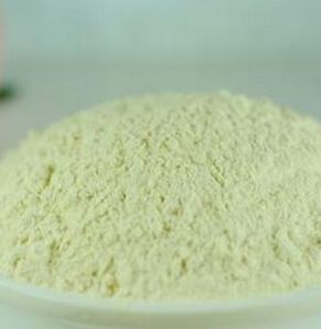 耐熱蛋白酶 耐熱蛋白酶