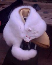 樂亭縣興隆皮毛廠