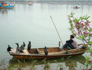 精奇里江 精奇里江