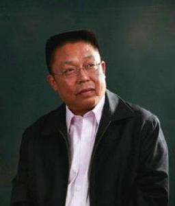 趙鋼[武漢大學教授]