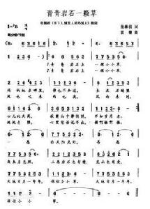 青青岩石一棵草 青青岩石一棵草