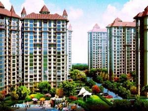 豐菊嘉苑 豐菊嘉苑