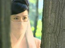 秦夢瑤[黃易小說《覆雨翻雲》女主角]