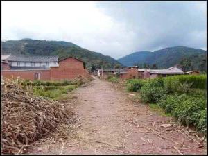 張家小村 張家小村