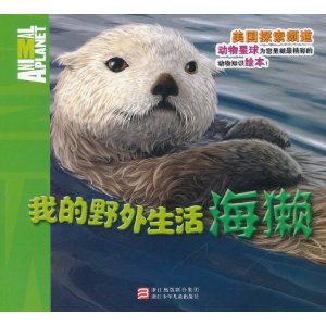 我的野外生活:海獺 我的野外生活:海獺