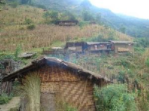 來美抗自然村情概況-村貌