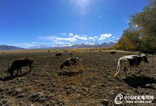 雪峰下淨美的塔吉克村落