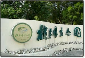 橫琴蚝自然生態園 橫琴蚝自然生態園