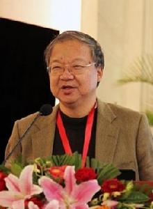 王東風[中山大學教授]