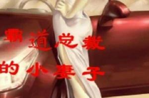 霸道總裁的小妻子 霸道總裁的小妻子