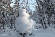 先峰國家森林公園 先峰國家森林公園