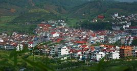 星村鎮[福建省武夷山市星村鎮]