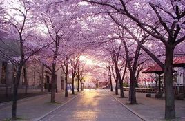 井之頭恩賜公園 井之頭恩賜公園