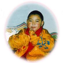 措卡阿白法王轉世靈童法相3