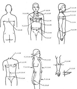 胸上點高 胸上點高