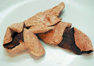 （圖）白蘿蔔蘋果牛肉湯