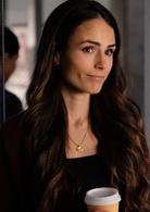 致命武器第一季